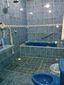 Baño completo en Ampliación casa de Bosques de Yucalpeten